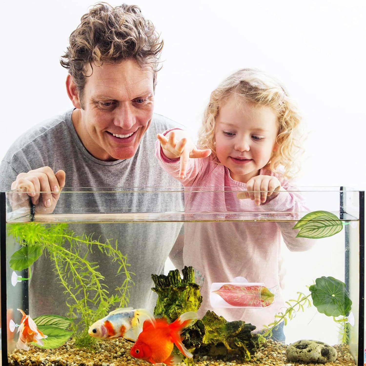 Betta Fish Hammock - Adjustable Leaf Rest Set for Aquariums Featuring Five Flexible Pads Designed for Betta Fish, Shrimp, Corydora, and Loaches to Play, Sleep, and Breed Comfortably in Home or Office