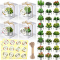 MTLEE 24 Sets Cactus Tealight Candles Delicate Succulent Cactus Candles Mini Candle Plant Party Favors Gifts for Christmas Baby Shower Fiesta Birthday Anniversary Celebration Wedding Party