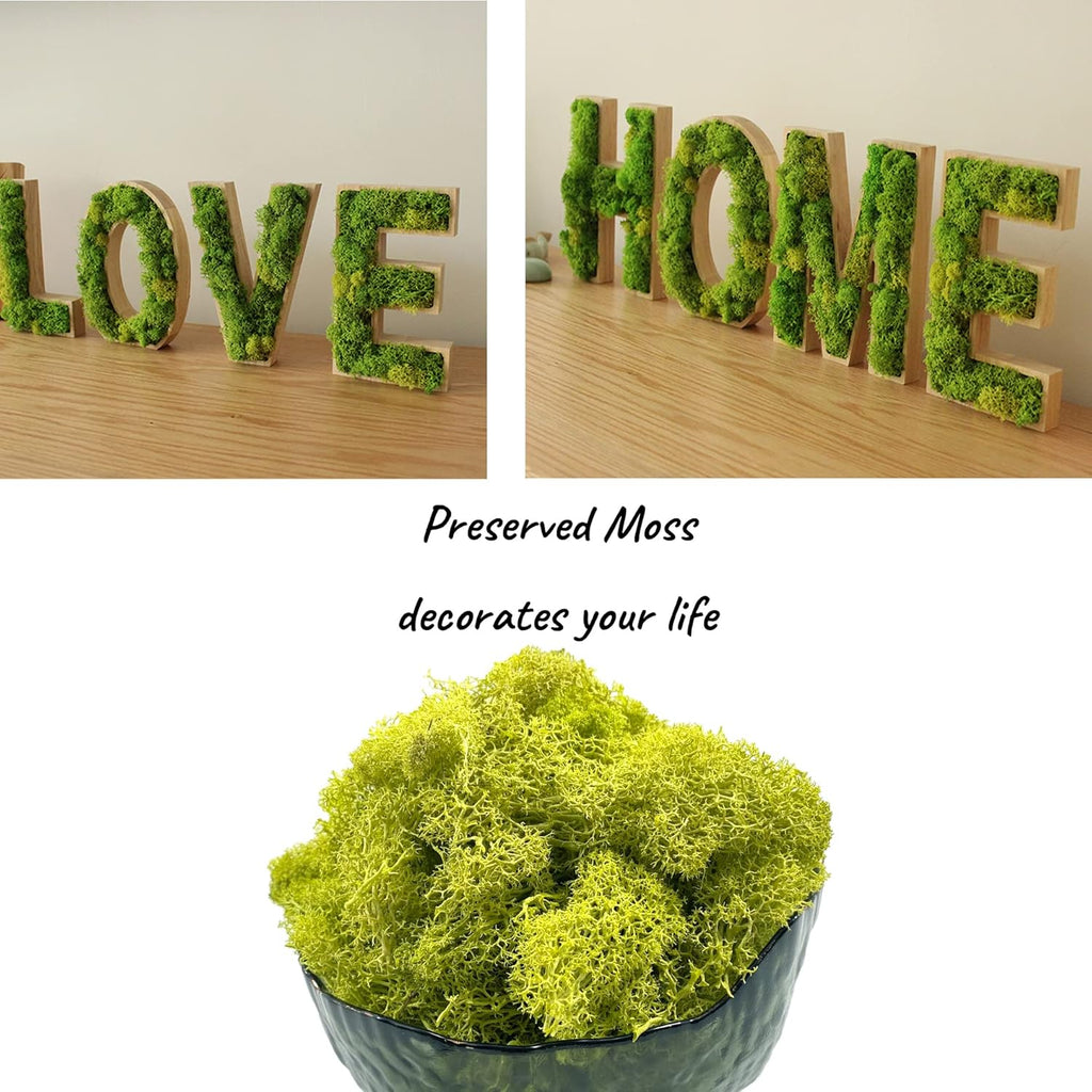 Moss Preserved Artificial Moss - 8.8 oz Natural Fresh Green for Craft, Arts, Floral Projects, Wall & Table Decor, Wedding Centerpieces, Garden Terrariums - Lemon Yellow