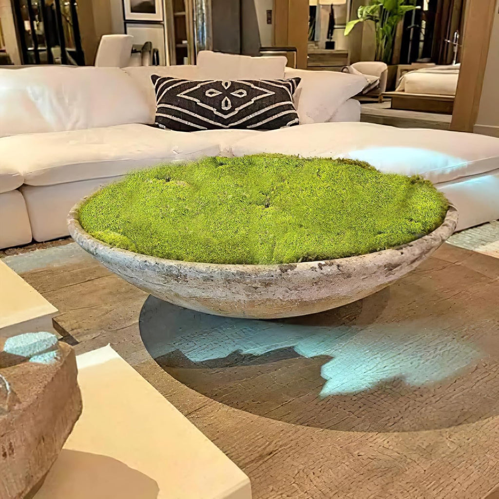 FAICOIA Preserved Pillow Moss Bulk Green Moss Balls for Bowls 2.5 sq.ft Natural Preserved Pole Moss Pillow for Wall Art Terrariums Crafts Fairy Gardens Pot Plants Easter Table Decor Yellow Green