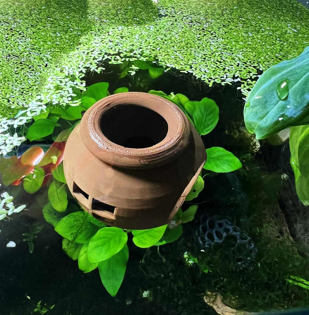 Floating Cozy Betta House, Natural Floating Betta Hide Out, Aquarium Hammock, Relaxing & Stress Relief, Suction Cup Included, 2.9" W x 2.6" H