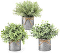 Mkono Small Fake Plants in Farmhouse Galvanized Metal Pots 3 Pack Potted Artificial Plant Eucalyptus for Laundry Room Bathroom Shelf Table Decor