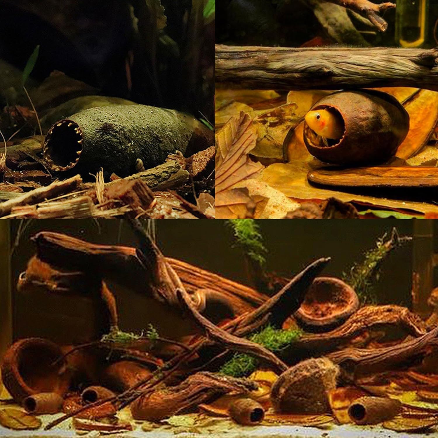 Fish Tanks Natural Hide Natural Simulation Landscape Large Dried Plant Fishtank Landscaping Fish Tanks Aquarium Decoration