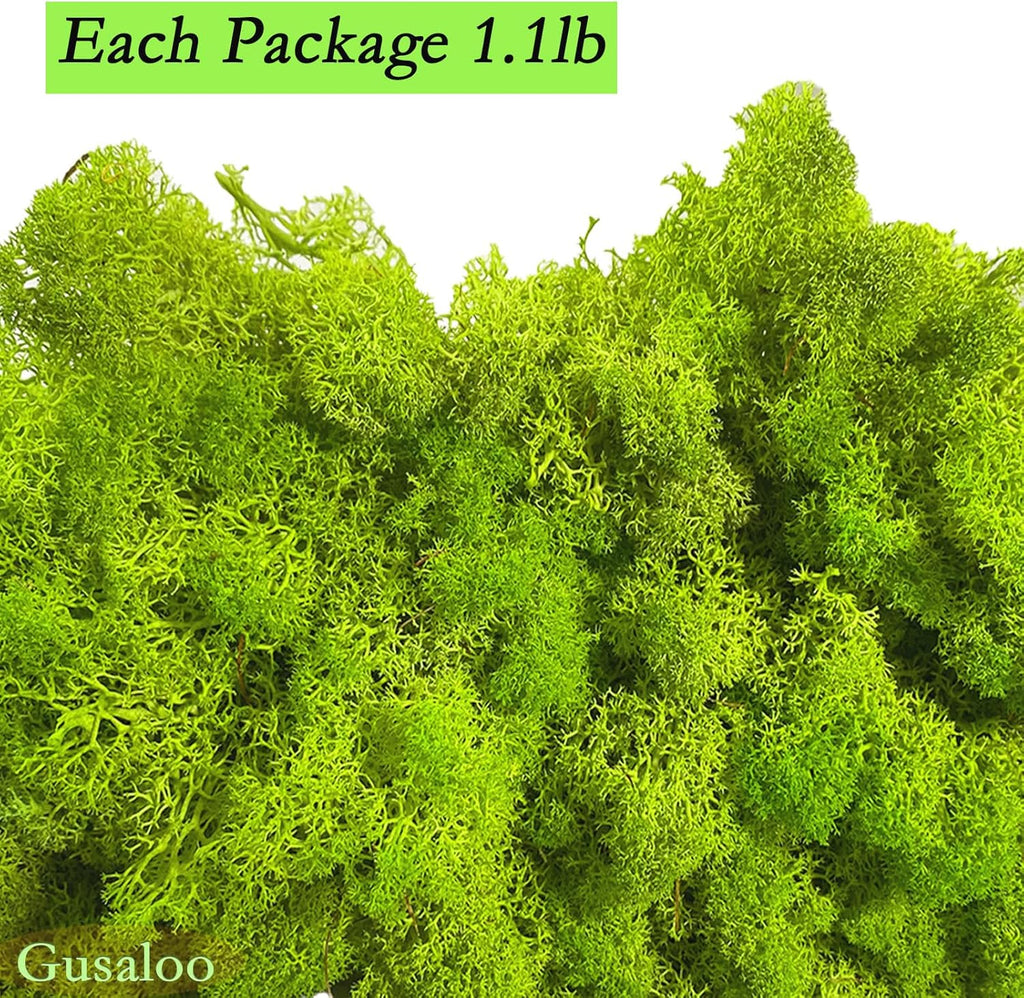 Preserved 1.1lb Moss Artificial Moss Natural Fresh Green Moss for Craft Handicraft Arts Floral Project Wall Decor Table Decor Wedding Centerpieces Garden Terrariums Decoration
