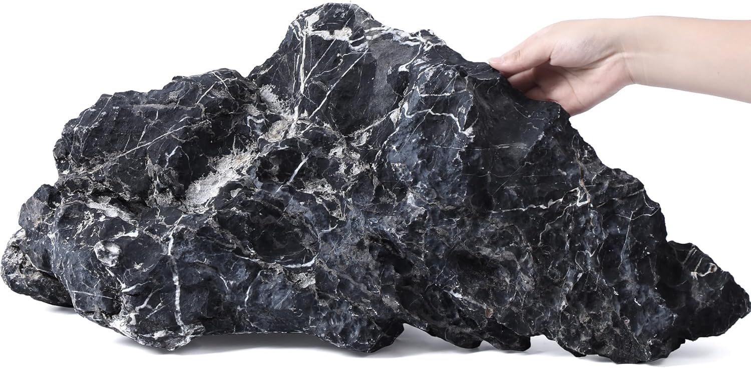 22-24 Inches Natural Seiryu Stone 1 PCS Ultra Large Aquarium Rocks for Aquascaping, Aquarium Landscaping, Terrariums, Fish Tank Decoration, Vivariums, Paludarium, Amphibian Enclosures