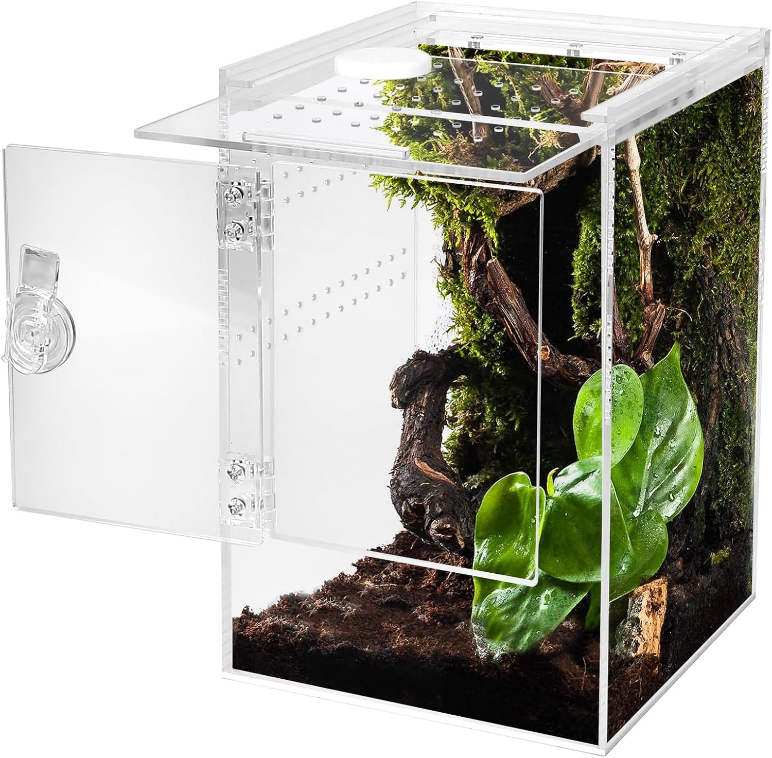 Front Opening Terrarium Jumping Spider Enclosure,Tall Arboreal Tarantula Enclosure Terrarium with Cross Ventilation,Waterproof Acrylic Reptile Enclosure