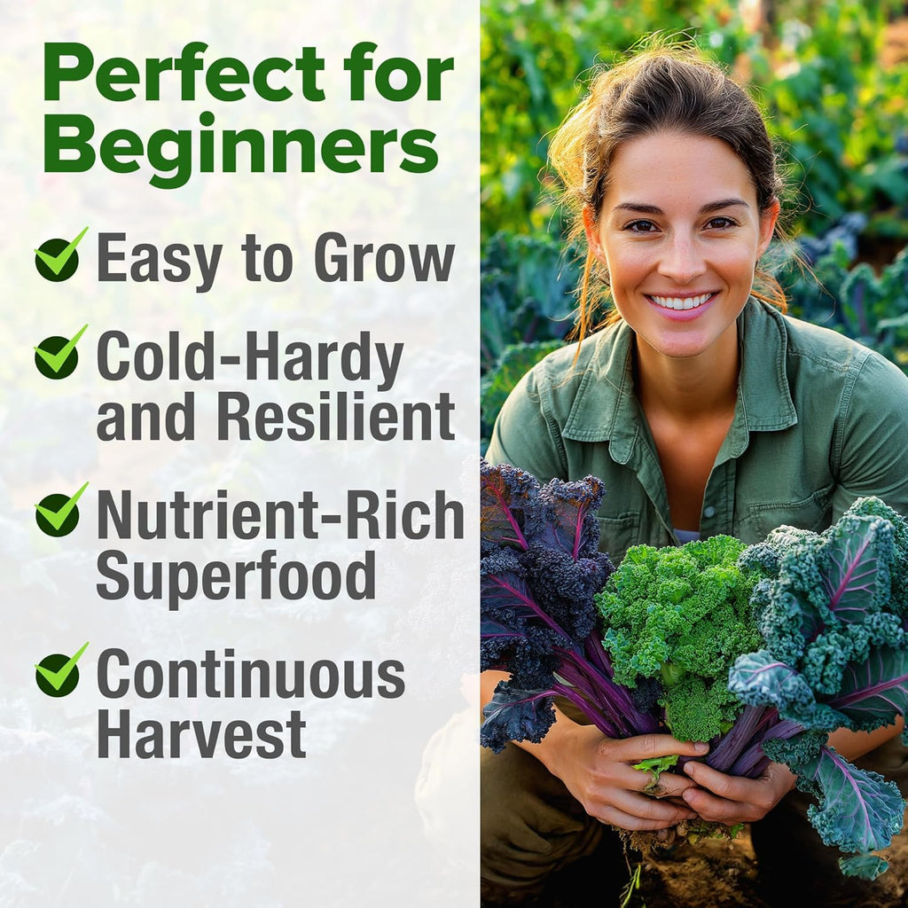 HOME GROWN Heirloom Vegetable Seeds Vegetable Seeds for Planting Home Garden, Beans, Carrots, Peppers, Cucumber, Kale, Pepper Seeds, Tomato (4 Kale)