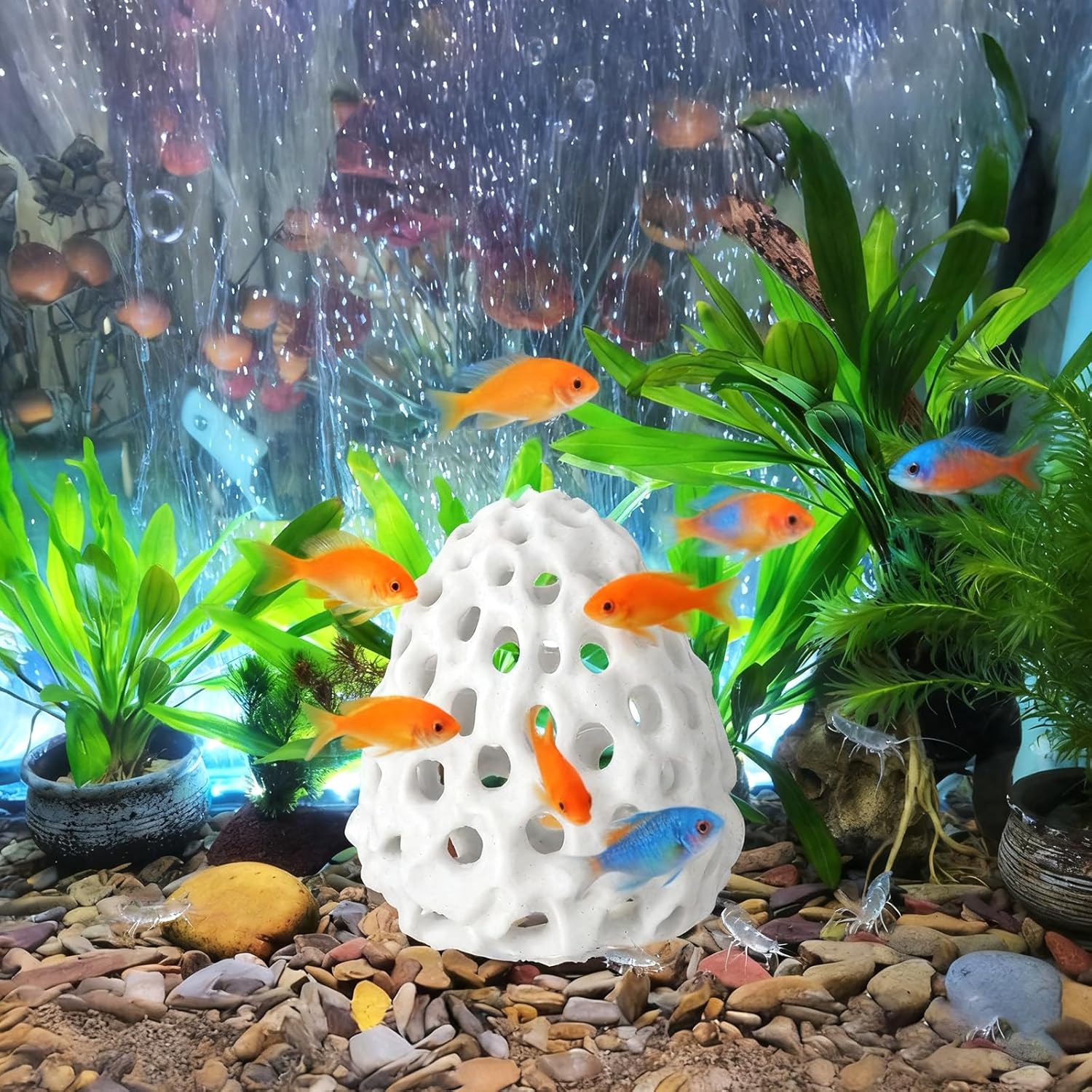 Shrimp Hide Shrimp Hides for Aquarium Betta Habitat Fish Tanks Tunnel with Suction Cup Aquarium Fishes Hideout Ornament Accessories for Small Fish Guppy