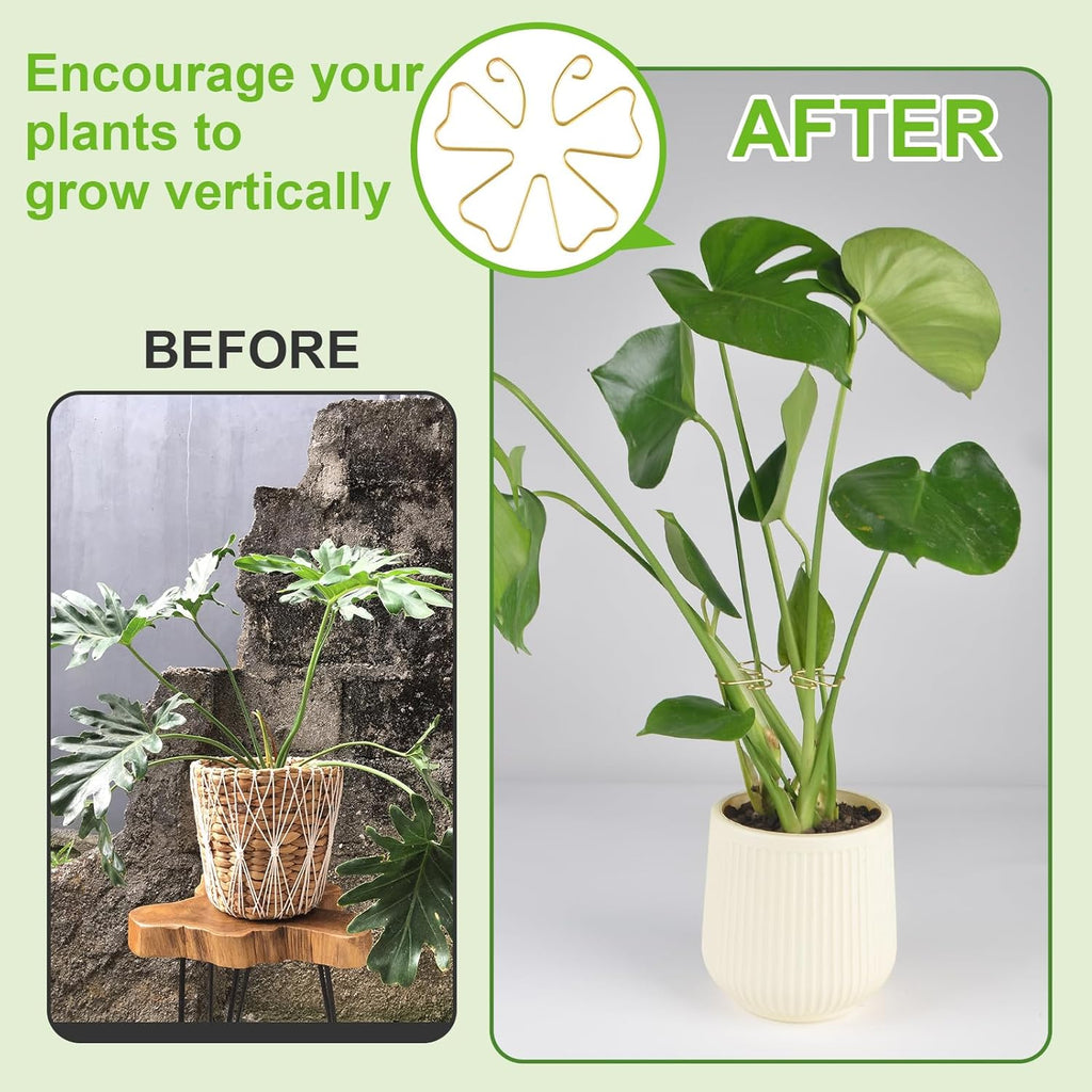 6pcs Plant Stem Support, Iron Monstera Plant Support, Plants Stem Holder Supports Butterfly Shape Bamboo Clamp Set for Outdoor & Indoor Growing Climbing Plants Stabilization and Supports
