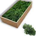 Preserved 5oz Moss Artificial Moss Natural Fresh Green Moss for Craft Handicraft Arts Floral Project Wall Decor Table Decor Wedding Centerpieces Garden Terrariums Decoration-Green