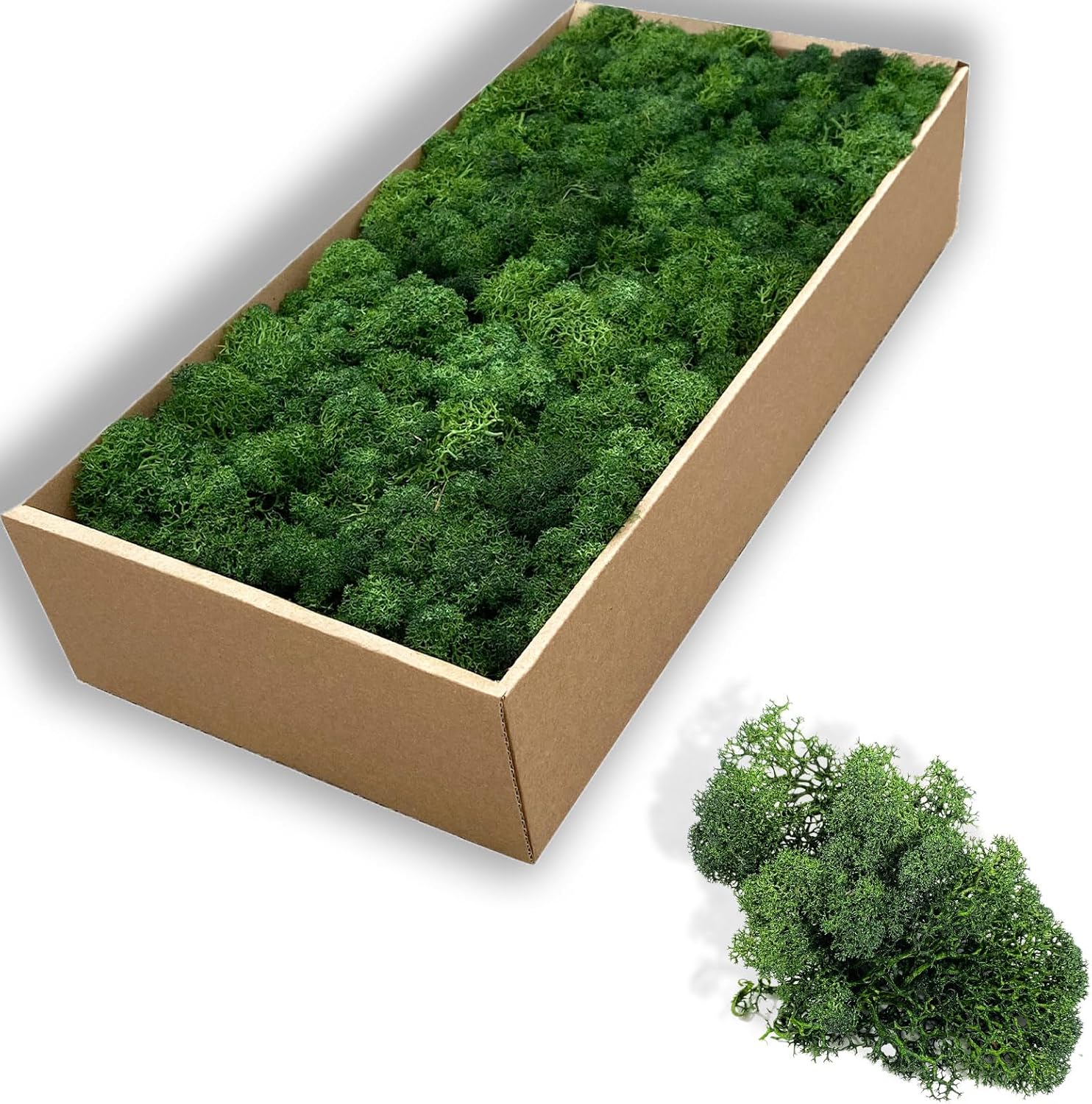 Preserved 5oz Moss Artificial Moss Natural Fresh Green Moss for Craft Handicraft Arts Floral Project Wall Decor Table Decor Wedding Centerpieces Garden Terrariums Decoration-Green