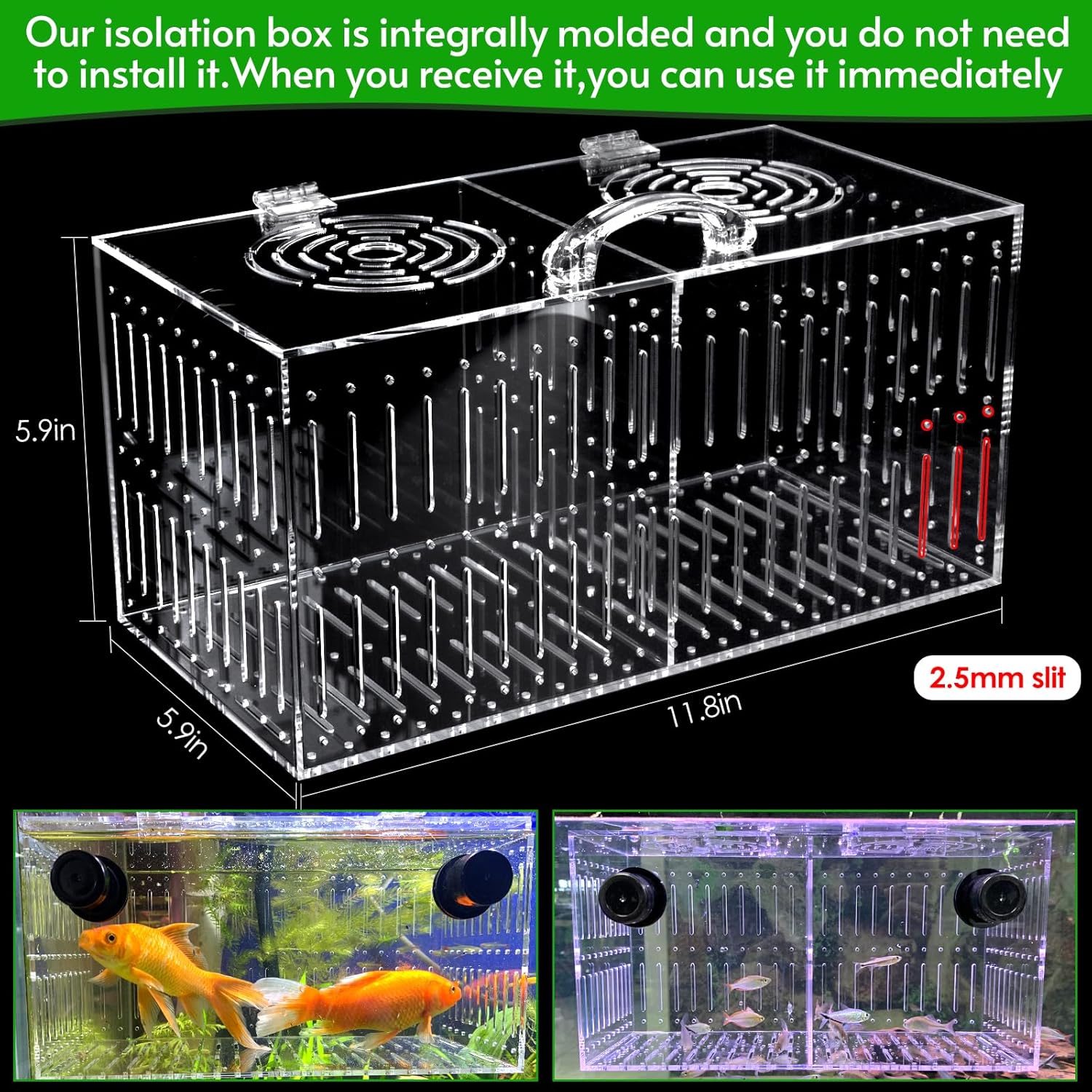 Magnet Acclimation Box for Saltwater Fish Quarantine Aquarium Isolation Box for Aquarium Fish Anemone Reef Coral