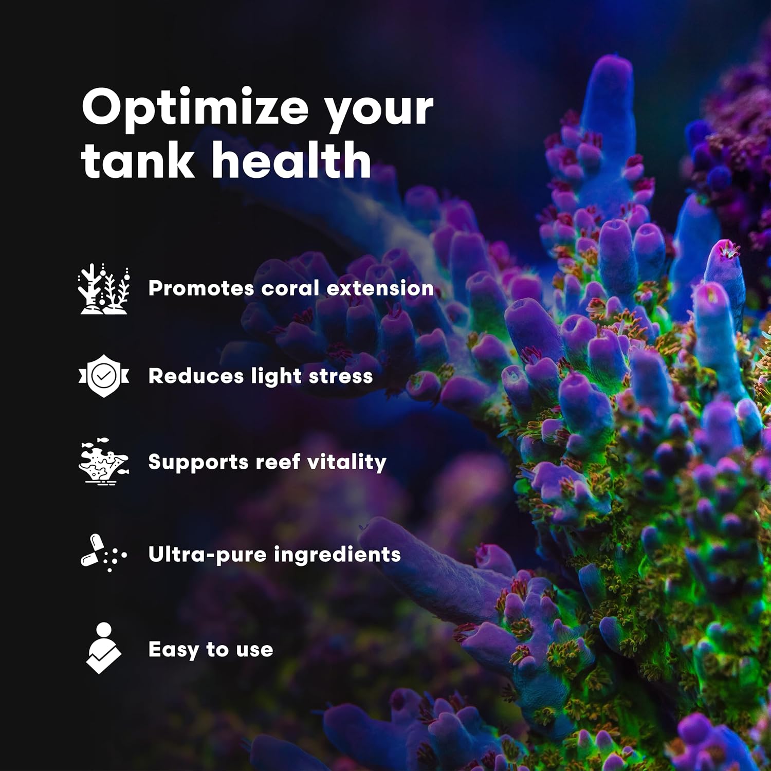 Brightwell Aquatics Iodion Iodide Supplement for Corals Clams Fish Macroalgae Enhances Polyp Extension Lighting Tolerance in Reef Marine Aquariums, 250 ml