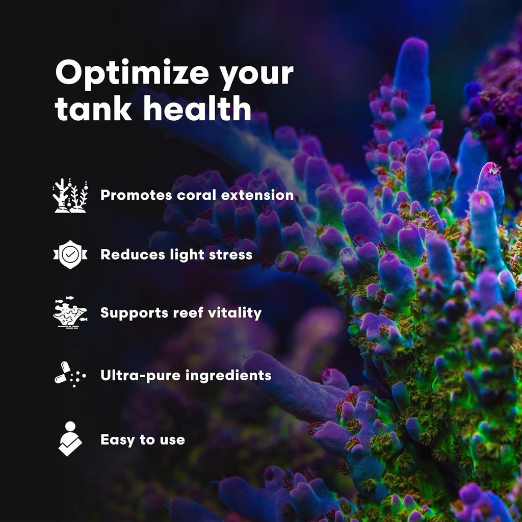 Brightwell Aquatics Iodion Iodide Supplement for Corals Clams Fish Macroalgae Enhances Polyp Extension Lighting Tolerance in Reef Marine Aquariums, 500 ml