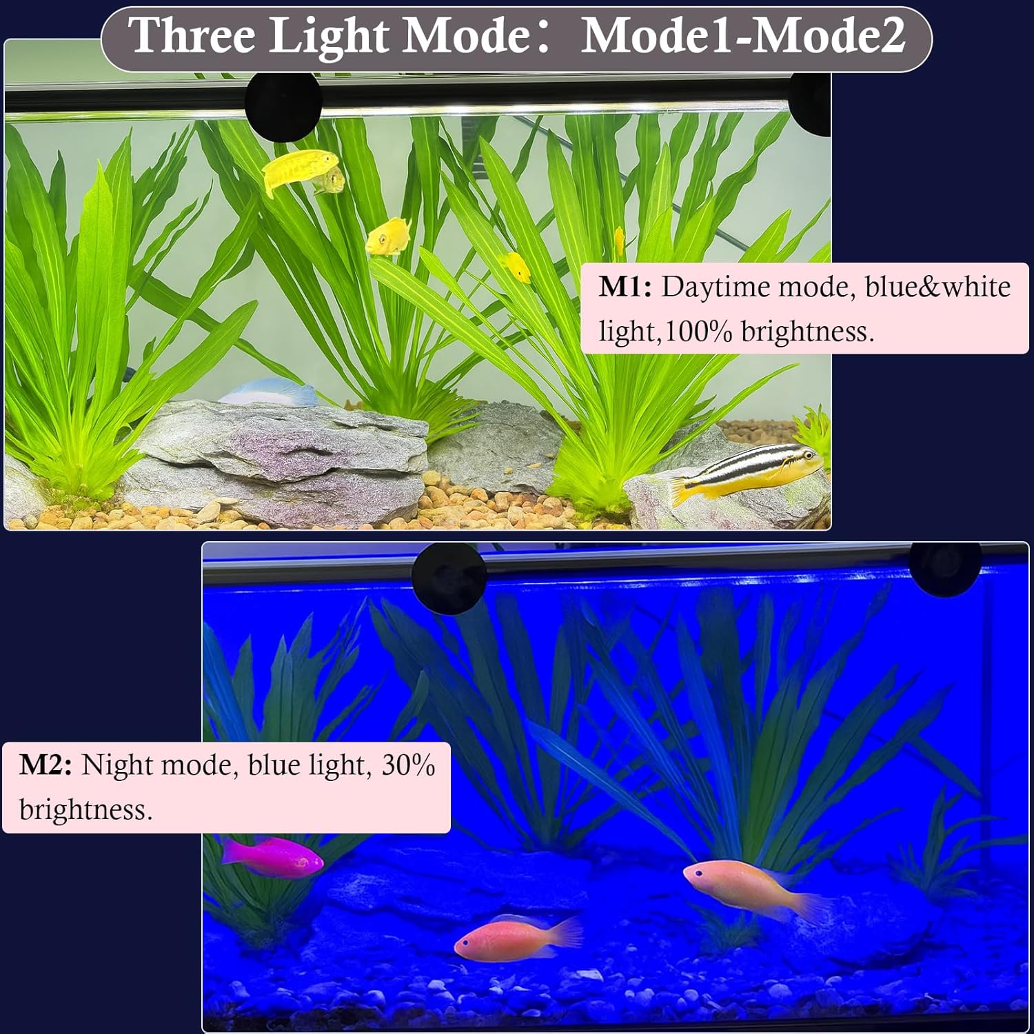 Dirvin 7inches 24/7 Mode Submersible Aquarium LED Light, 9 LED Beads 3 Colors Fish Tank Light with Timer Brightness Adjustable, Sunrise-Daylight-Moonlight Simulation for 7"-16" Fish Tank, 3.5W