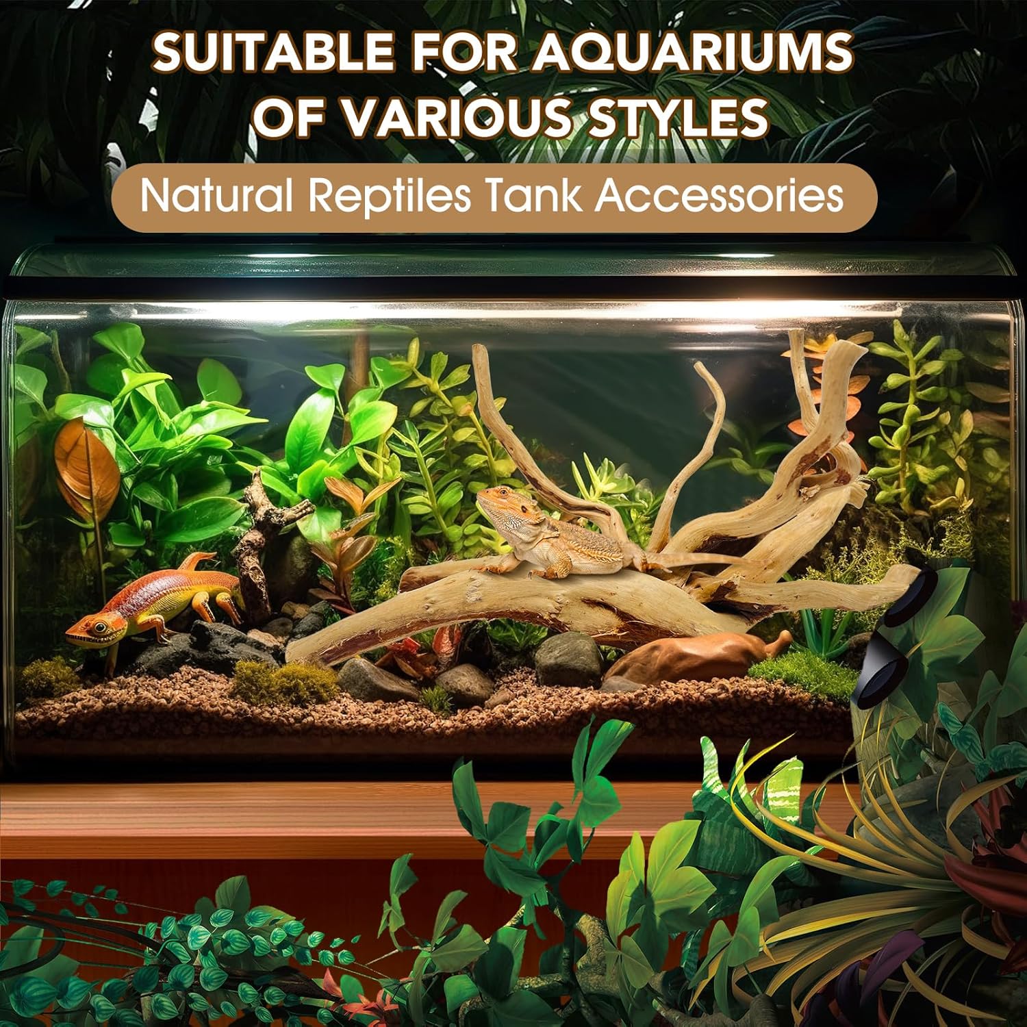 Natural Large Spiderwood Driftwood for Aquarium Decor Rptile Fish Tank Decoration Assort Branch 13-16'' Pack of 1