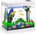10 Gallon Betta Fish Tank – Features Pre-Set Light Timing, 7 LED Colors, Custom Brightness, High-Def Glass & Multi-Stage Filter Complete Aquarium Kit for Beginners