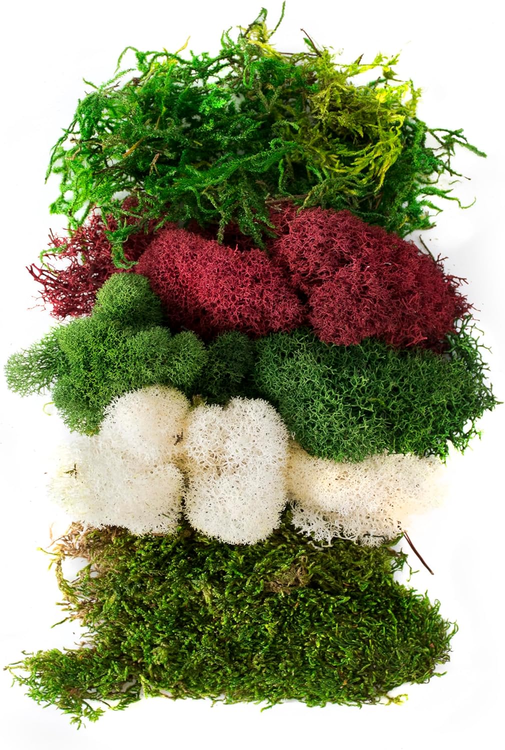 SuperMoss (23308) Moss Mix – Premium Decorative Moss for Crafts, Terrariums, Wedding & Table Décor, 80.75 Cubic inches (Approx. 2 oz), Christmas