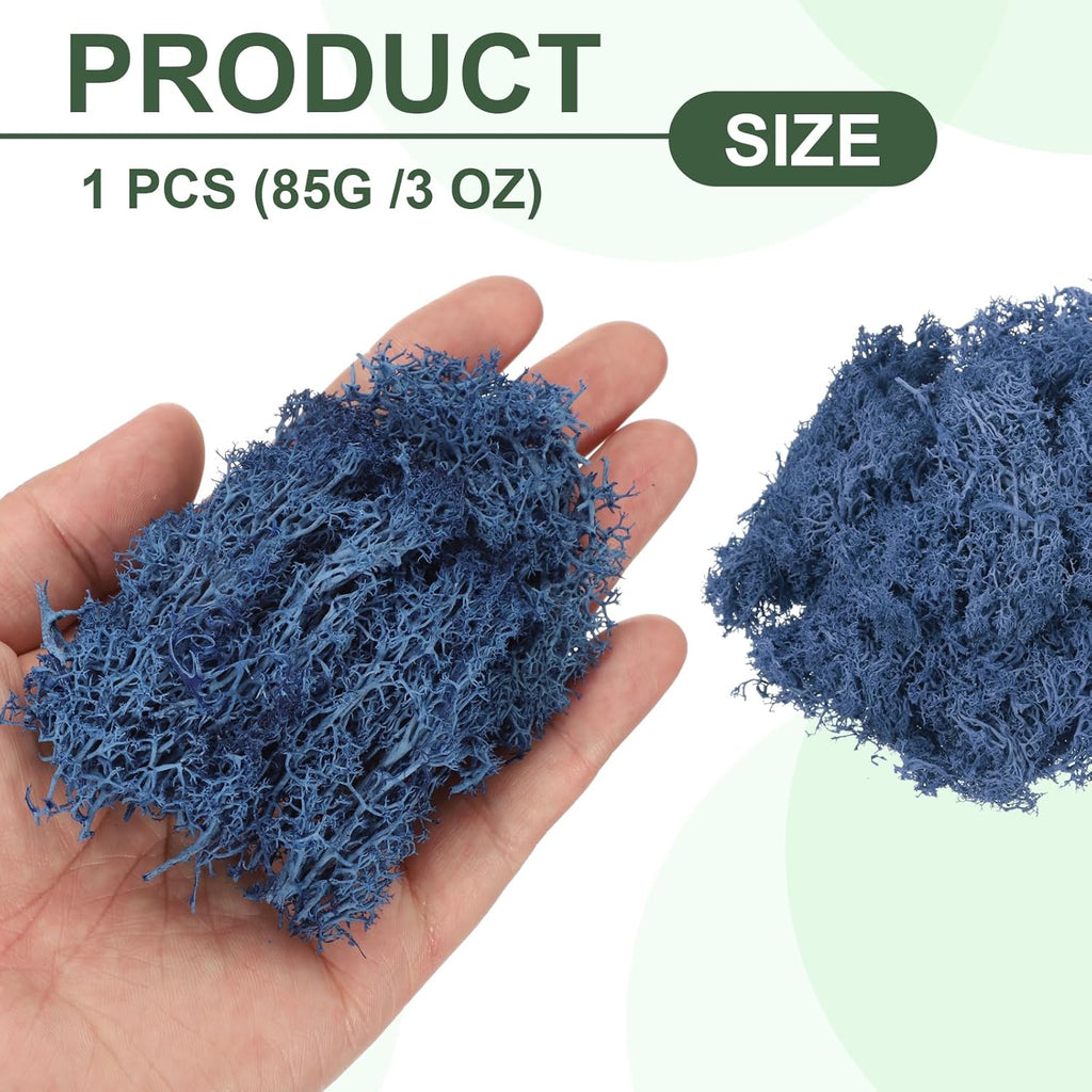MECCANIXITY 3oz Preserved Reindeer Moss, Dark Blue Decorative Artificial Fake Moss for Potted Plants Indoor Crafts Lichen Centerpieces Decor