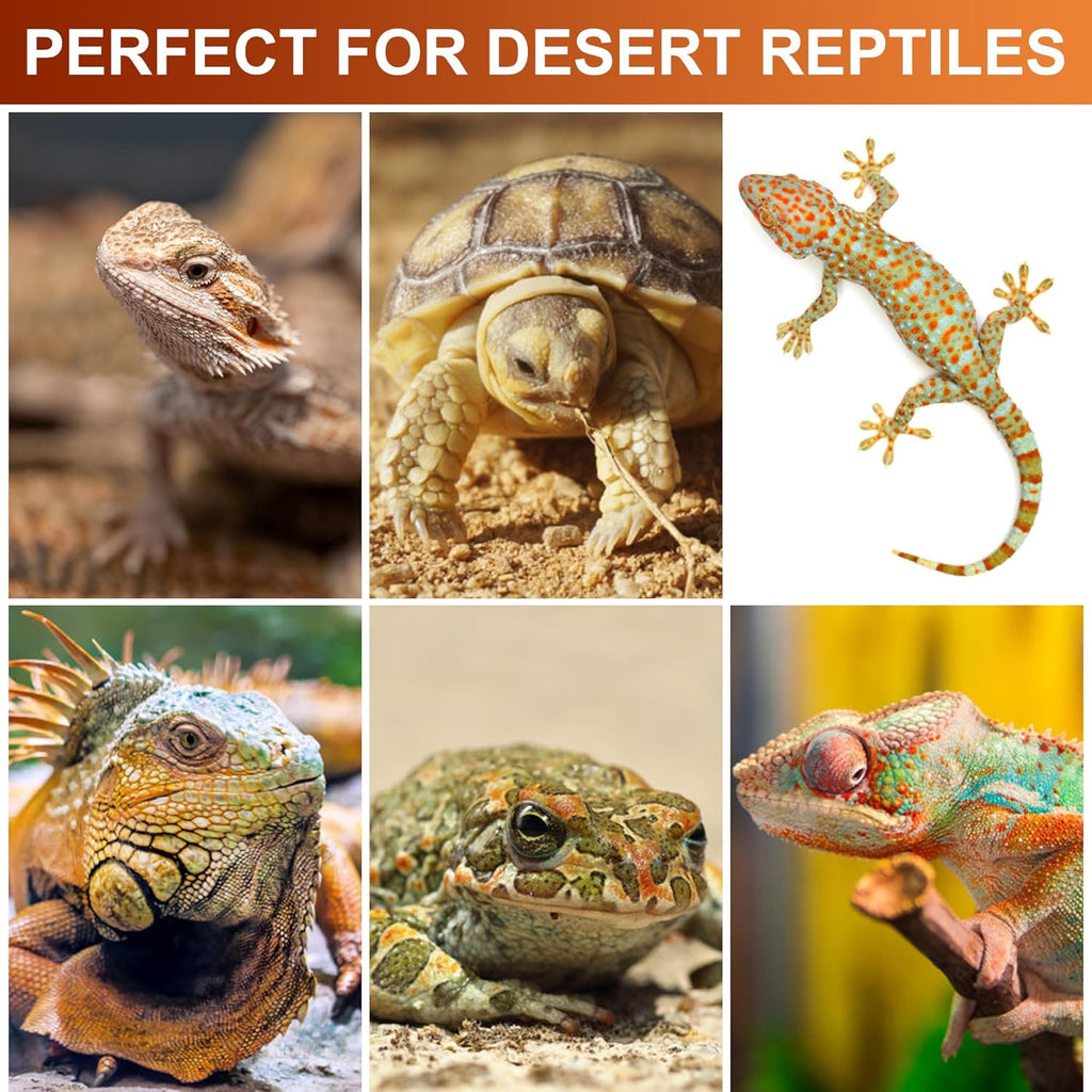 UVB Reptile Light Kit, 24W T5 Lamp Fixture and 10.0 UVB Tube Combo, Linear Lighting Bar for Desert Dwelling Reptiles, Bearded Dragon, Chameleon, Gecko, Lizards, Tortoises, Turtles, Snake