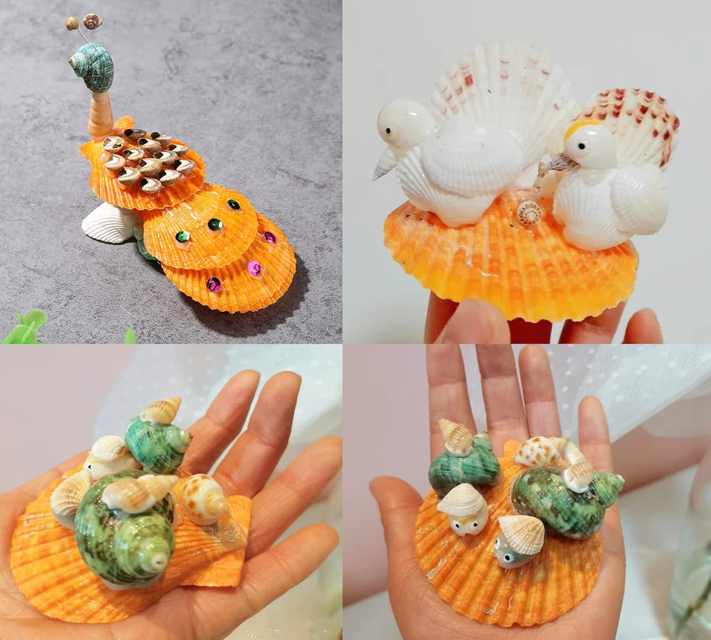 Yellow Sea Shells Scallop Shells for Baking Cooking, Natural Clam Seashells for DIY Crafts Seashell Beach Decorating for Home Decor