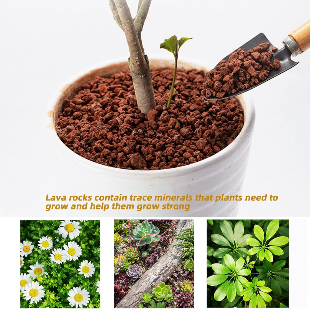 14lb Red Lava Rock for Plant, Horticultural Volcanic Rock Soil for Decorative Landscaping Bonsai, Cacti, Succulents Plants Top Dressing for Release Excess Water
