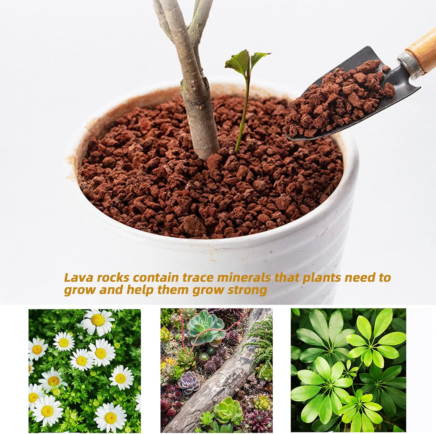 Natural Lava Rocks Granules Decorative Landscaping for Bonsai, Cacti, Succulents Plants, Vase Fillers and Terrarium Plants, 5Lbs