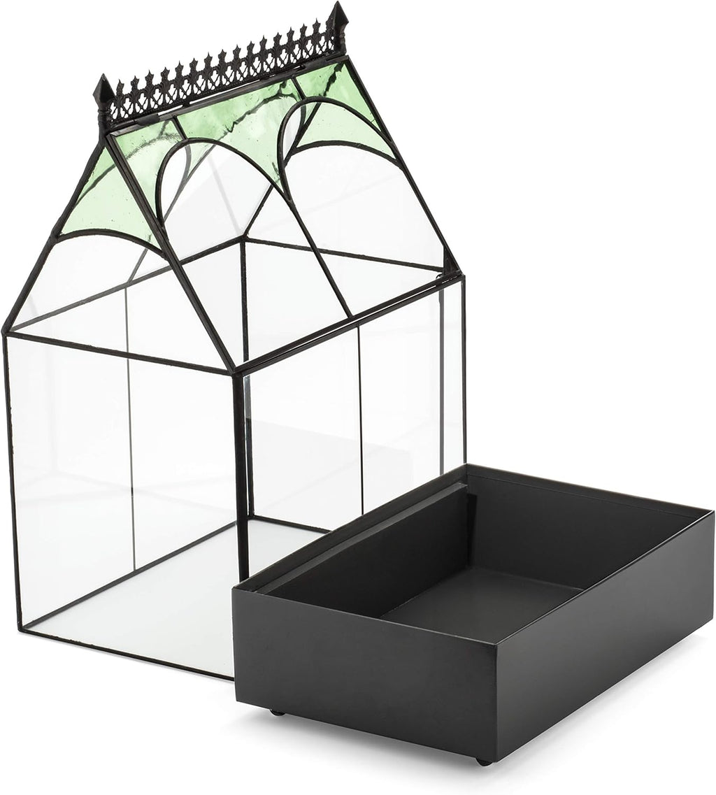 H Potter Glass Plant Terrarium Wardian Case Succulent Planter Container War158