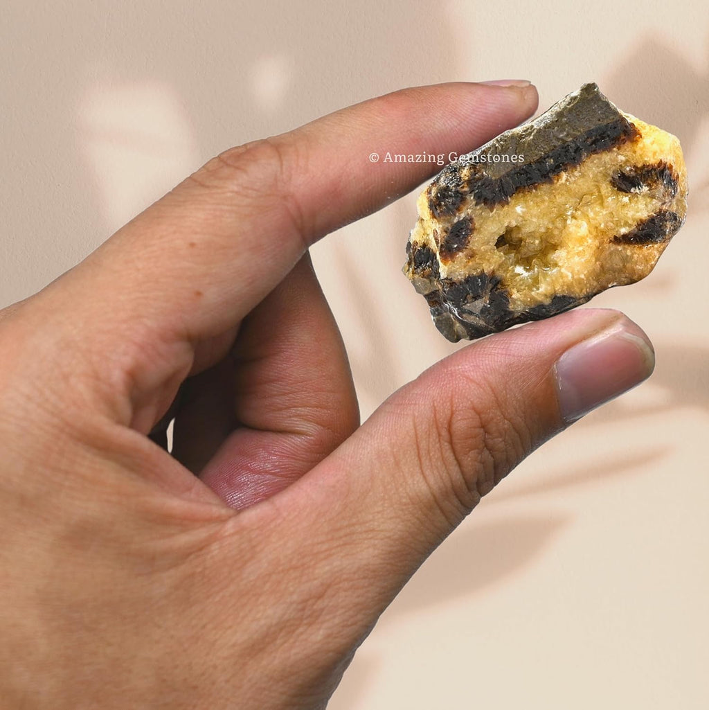 Amazing Gemstone Septarian Raw Crystals and Healing Stones, Natural Rocks for Tumbling and DIY Raw Stones and Crystals (1 lb)