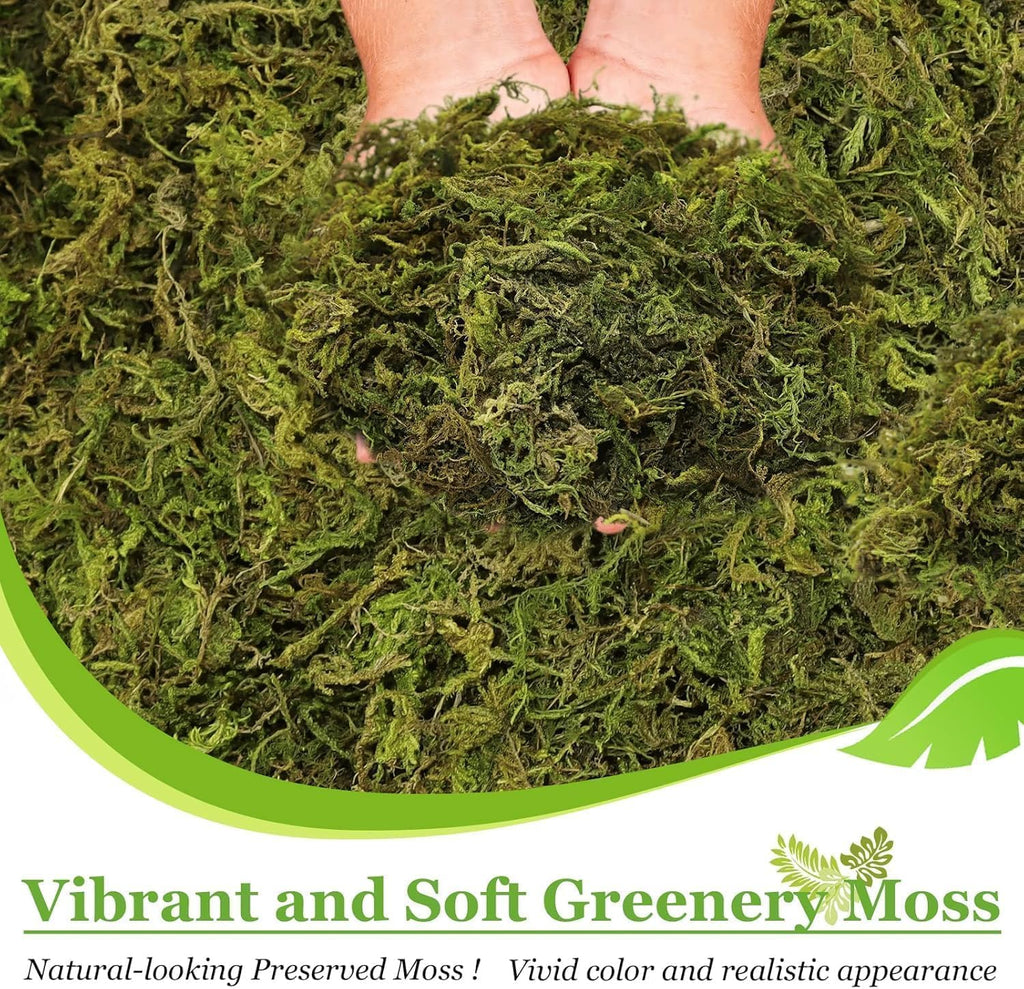 Riare 2.6LBS Artificial Fake Moss for Fake Plants Indoor- Premium Faux Craft Moss for Potted Plant, Fresh Forest Green for Hamsters Micro-Landscape Terrariums Centerpieces Decor