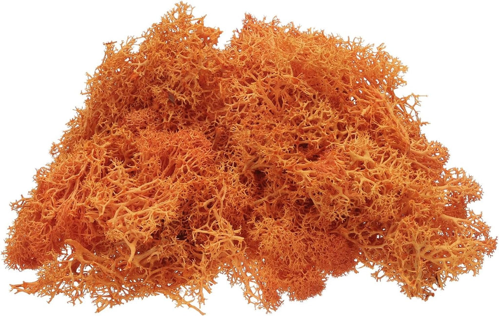 uxcell Preserved Reindeer Moss, 4 OZ Fake Moss for Crafts Artificial Dried Moss for Decoration, Craft, Terrariums, Potted Plants, Centerpieces Fairy Gardens (Orange)
