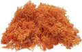 uxcell Preserved Reindeer Moss, 4 OZ Fake Moss for Crafts Artificial Dried Moss for Decoration, Craft, Terrariums, Potted Plants, Centerpieces Fairy Gardens (Orange)