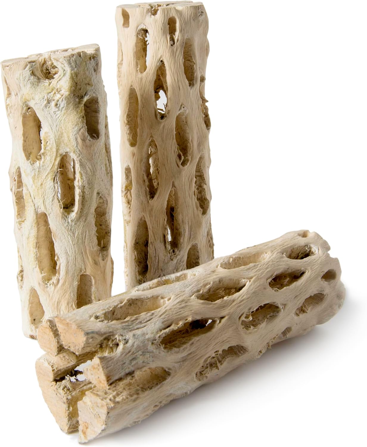 Galapagos 05270 Cholla Wood for Aquarium ,(pack of 3)