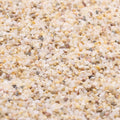 Coarse Sand. Golden Color. 1/8 Inch 10 lbs. for Potting Soil, Succulents, Pots, Plants, Gardening, Indoor, Crafting, Vase Fillers, Landscaping (X-Mini, COARSE Sand - Golden, 10)