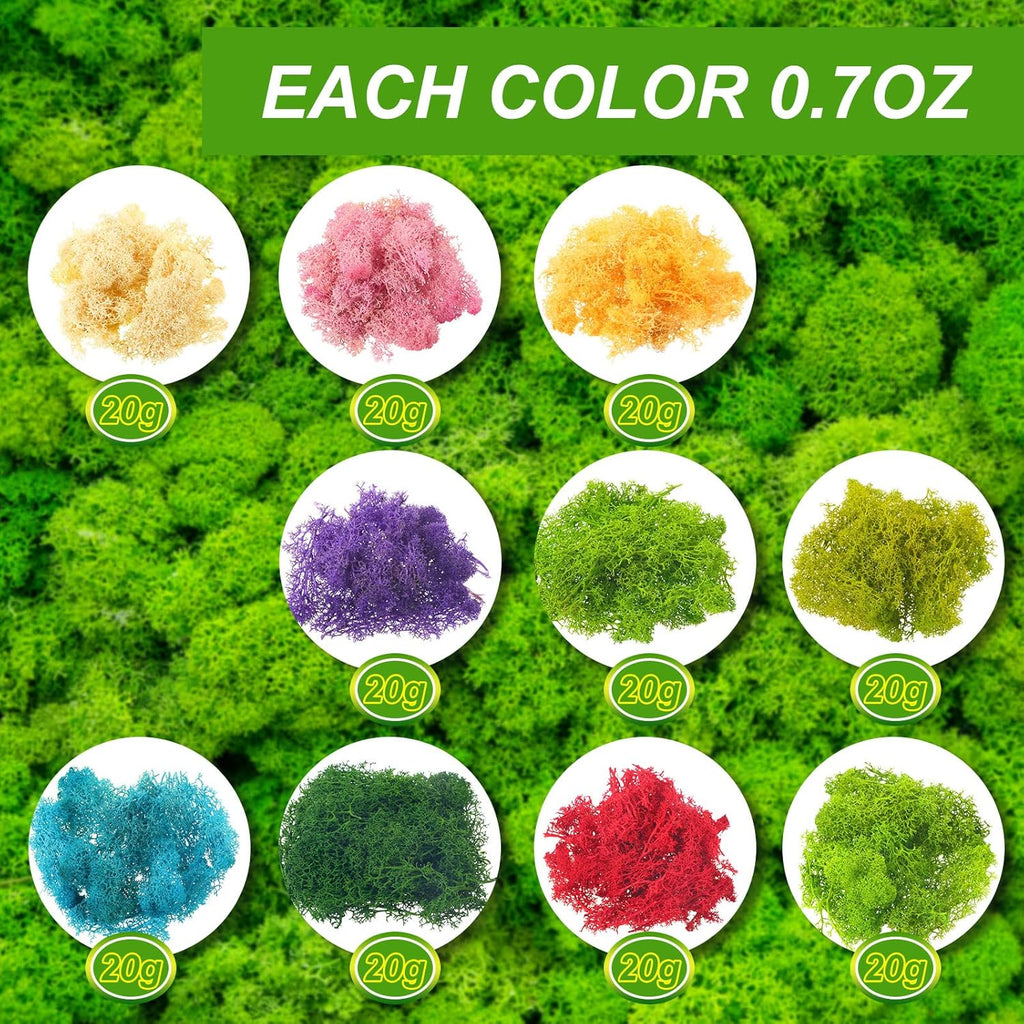 7 Oz Colored Fake Moss Preserved for Crafts Artificial Decorative Moss Faux Garden Dried Floral Forest for Terrariums Wall Decor Fairy Gardens Wedding Floral Project(Mixed Color)