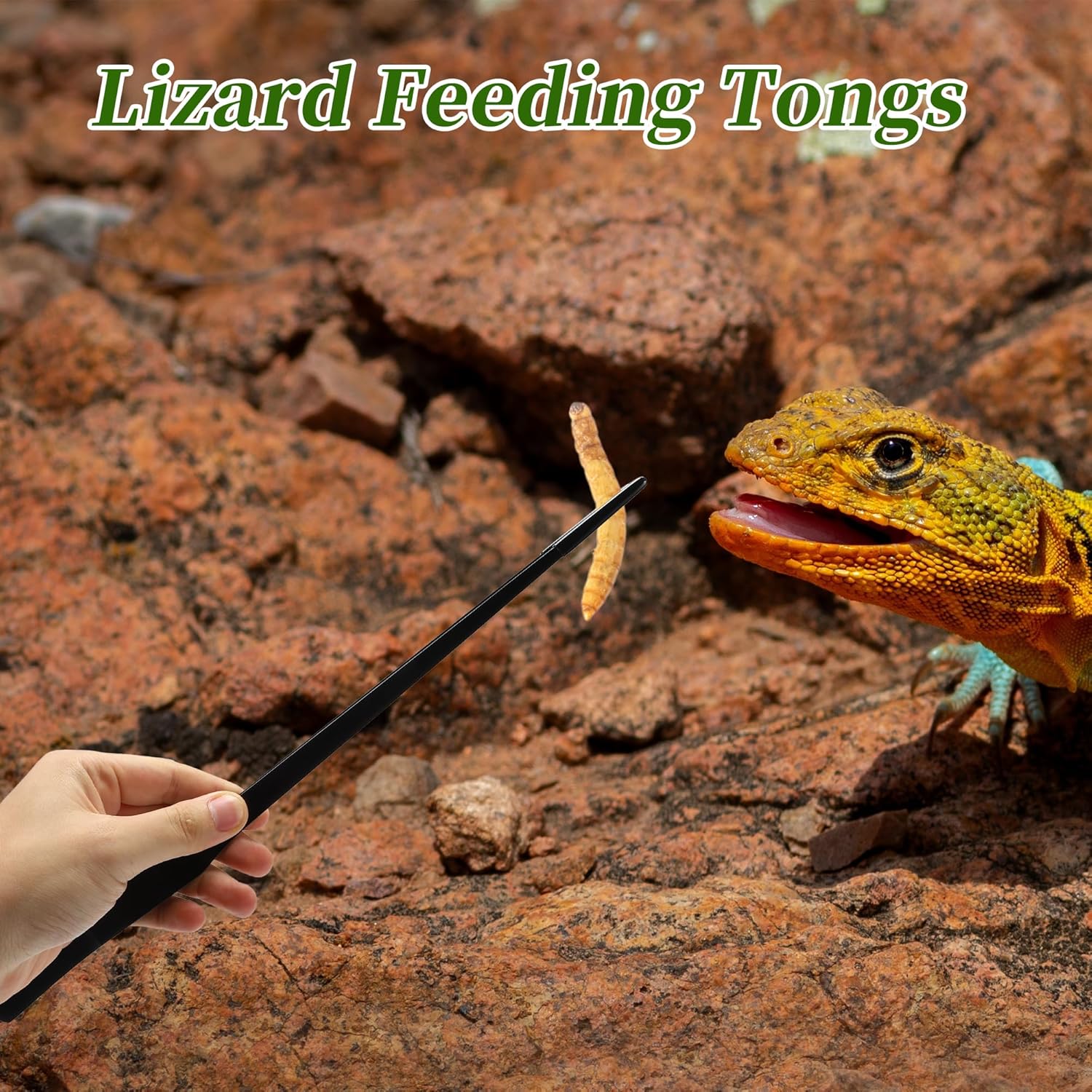 Reptile Feeding Tongs, Stainless Steel Lizard Feeding Tongs, Aquarium Straight Feeding Tweezers for Reptiles with Rubber Tip, Terrarium Feeding Tong for Gecko, 14.96" Length, Black