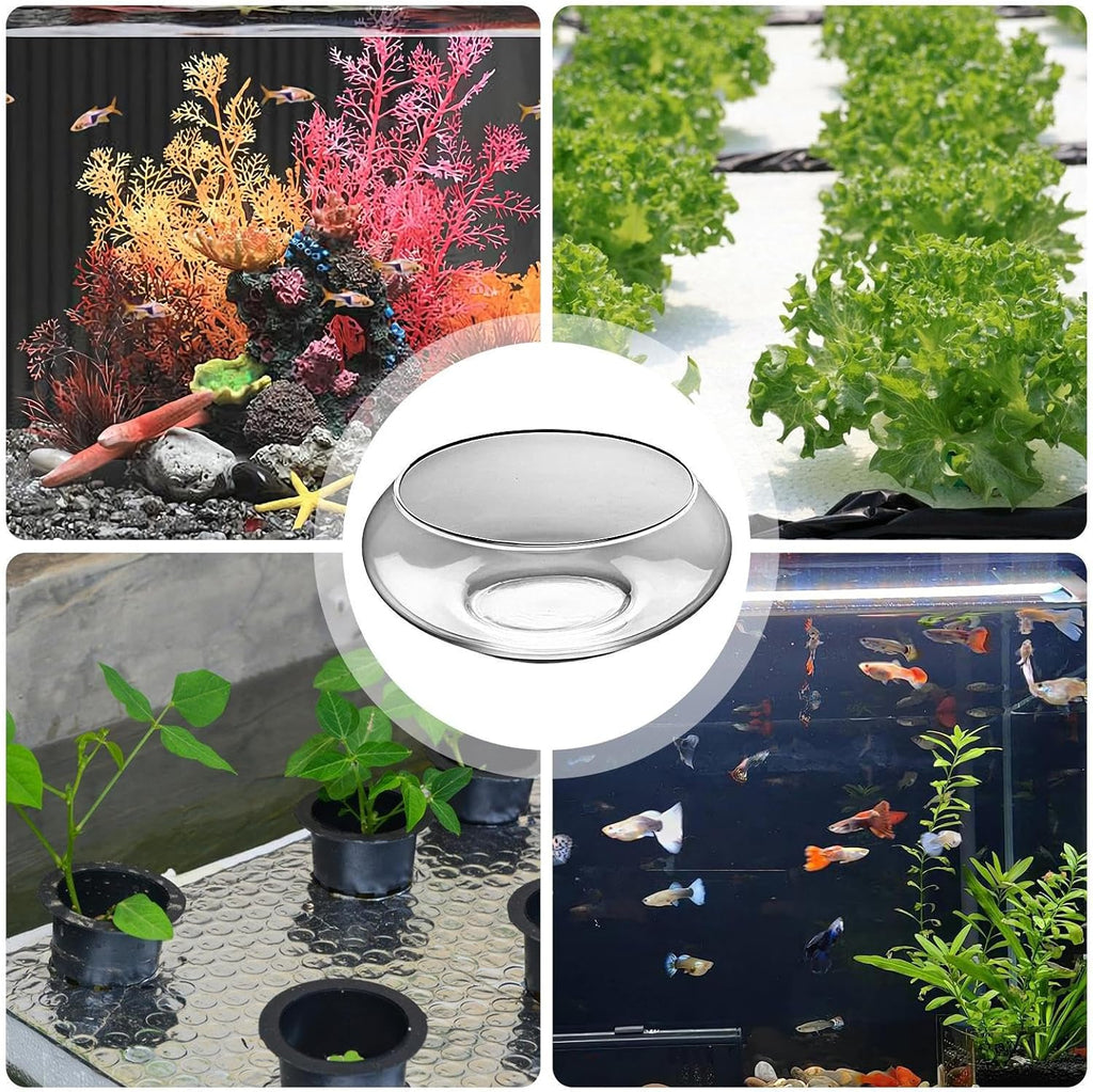 Glass Bowl – for Plants, Hydroponics Flower Planter, Shallow Wide Round Fish Bowl, Indoor Home Decoration, Transparent Curved Design, Multipurpose Plant Display | Great for Bonsai, Succulents