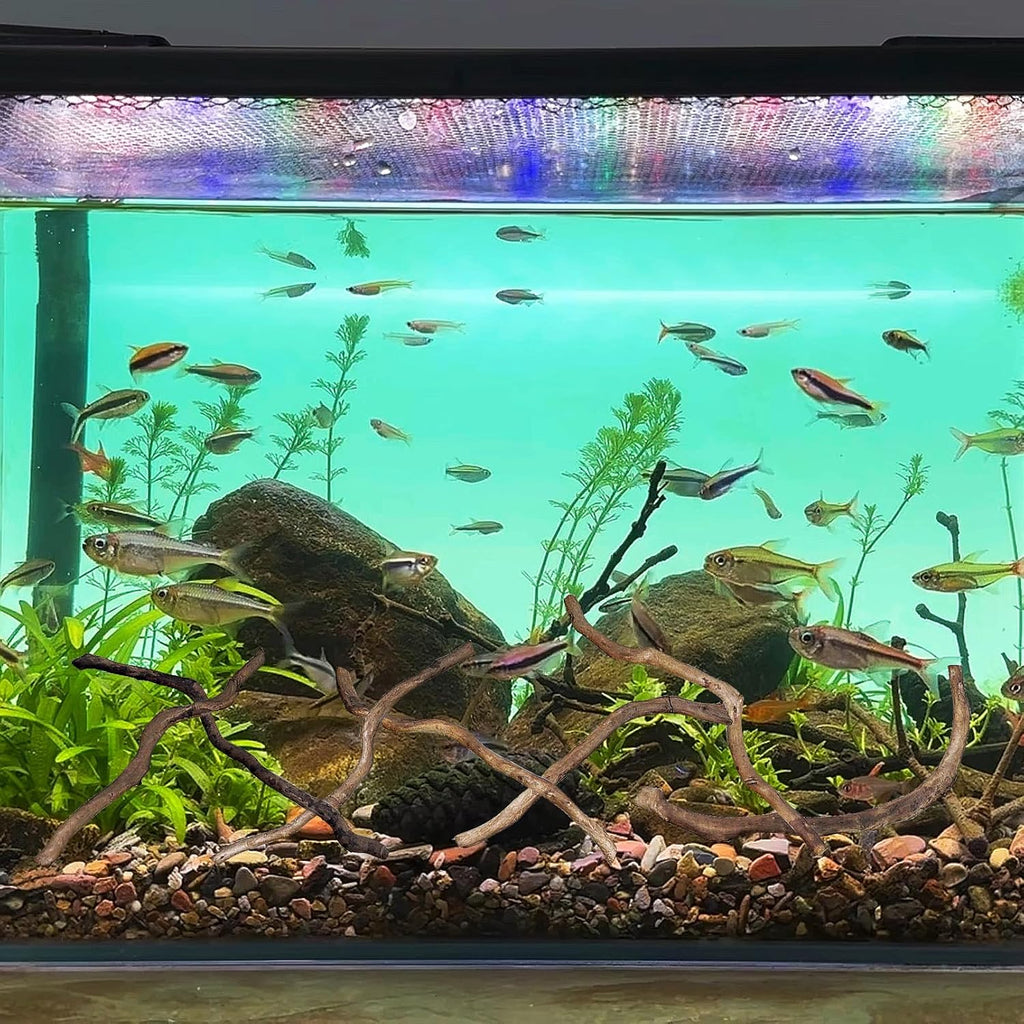 Hamiledyi Natural Driftwood for Aquarium Decor - Red Moor Wood 10"-15" Long Assorted Shapes (200g) Safe Branches for Fish Tank & Reptile Habitat - Natural Aquarium Wood Decorations (Medium Branches)