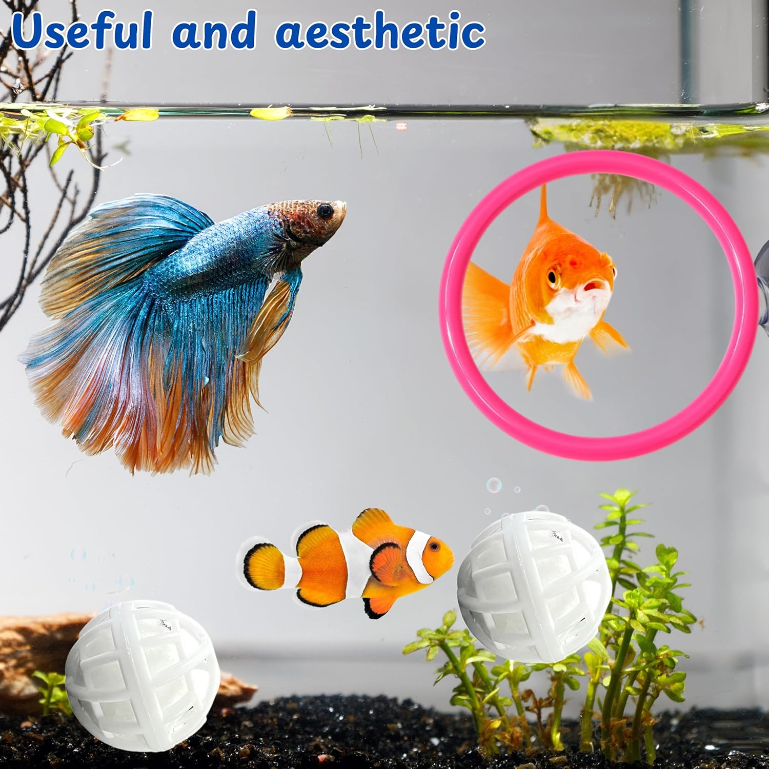 Betta Ring Enrichment Toys with Filter Ball set, Turtle Water Cleaner Ball, Aquarium Feeding Ring with Nitrifying Balls, Betta Fish Toy, Aquatic Turtle Enrichment Toy, Tortoise Supplies (Pink, M-70mm)