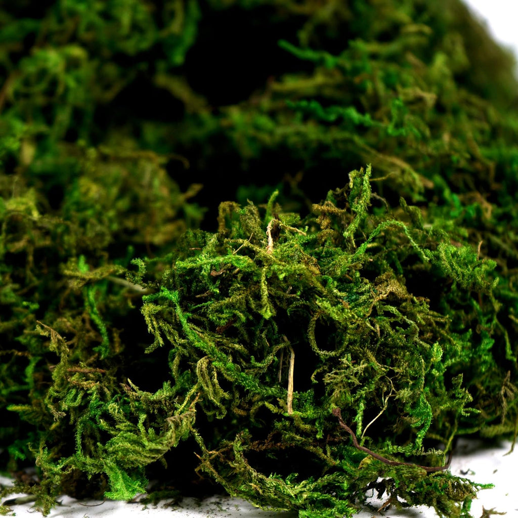 BYHER Artificial Moss Fake Green Grass for Centerpieces Home Kitchen Garden Decor (3.5OZ, Fresh)