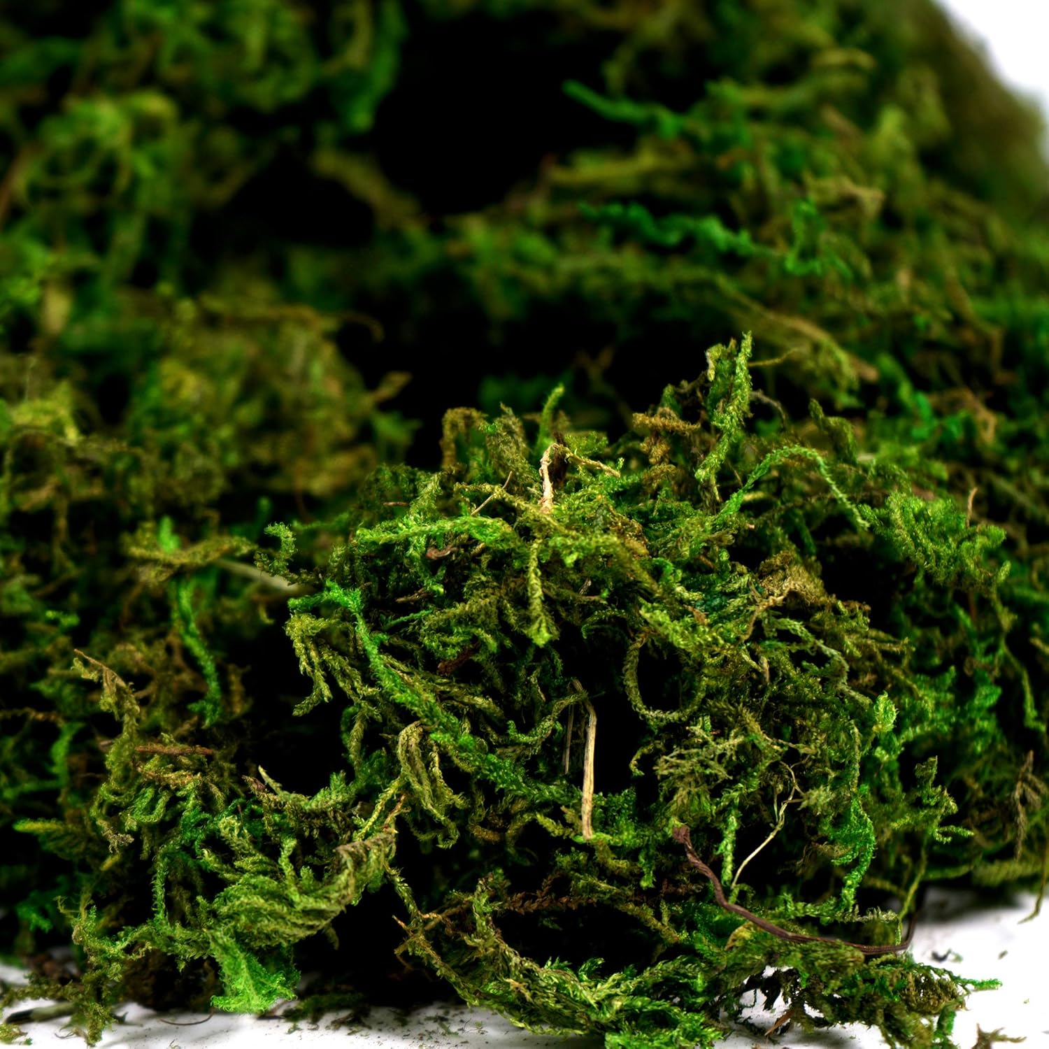 BYHER Artificial Moss Fake Green Grass for Centerpieces Home Kitchen Garden Decor (3.5OZ, Fresh)