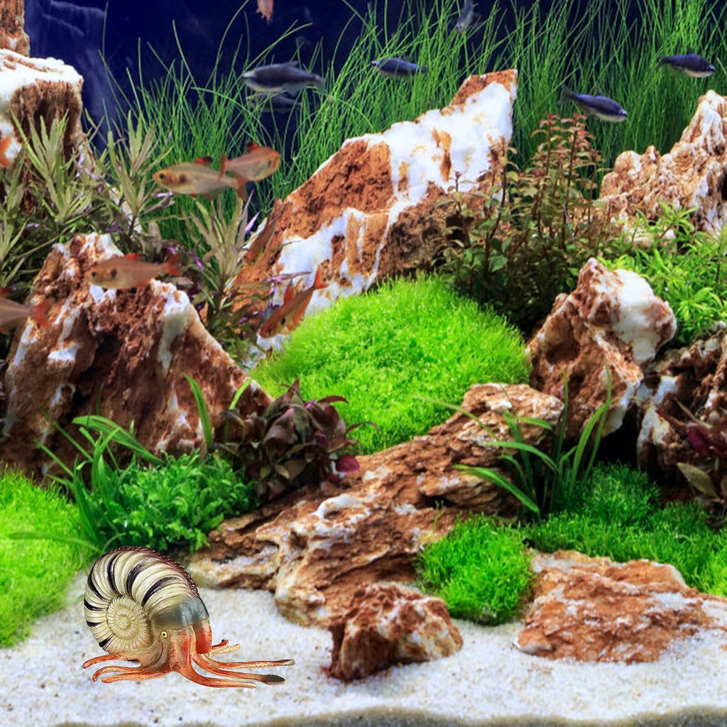 Hemoton Realistic Nautilus Model Ocean Animal Aquarium Decor Creature Figurine Educational for Creativity Development