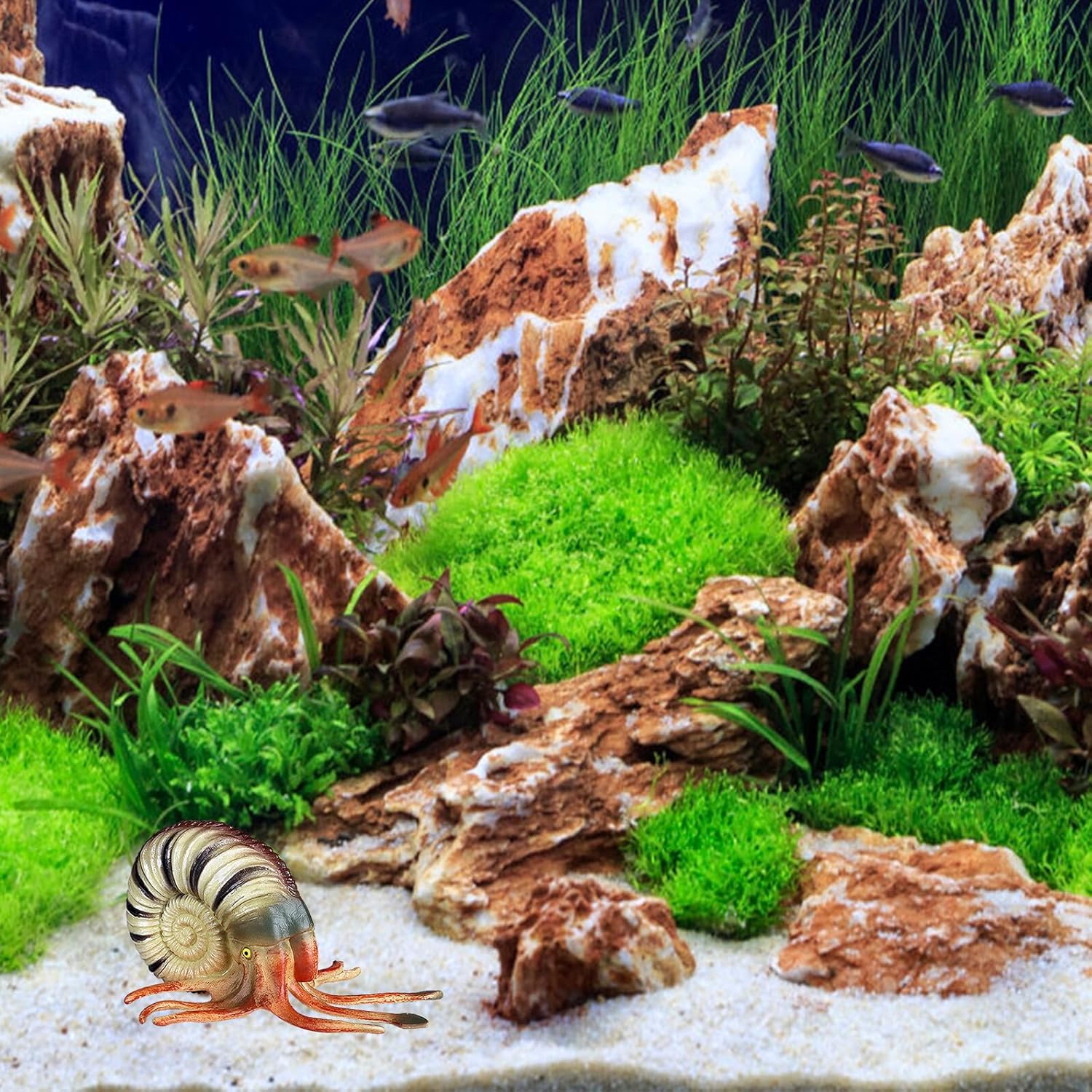 Hemoton Realistic Nautilus Model Ocean Animal Aquarium Decor Creature Figurine Educational for Creativity Development