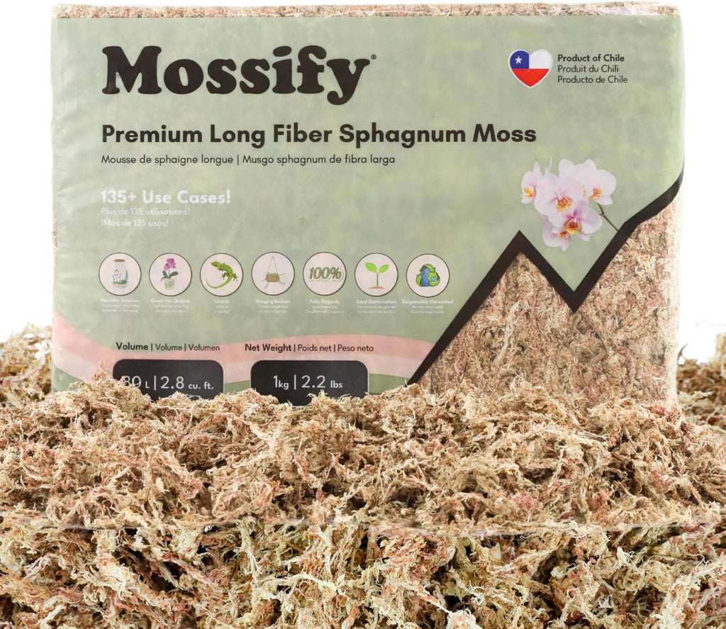 Mossify Premium Sphagnum Moss for Plants 1kg, 2.2 lbs - Long Fiber Moss for Plants Indoor, Orchids, Terrariums, Gardening, Reptiles – Moisture Plant Moss for Propagation, Soil & Habitat Bedding