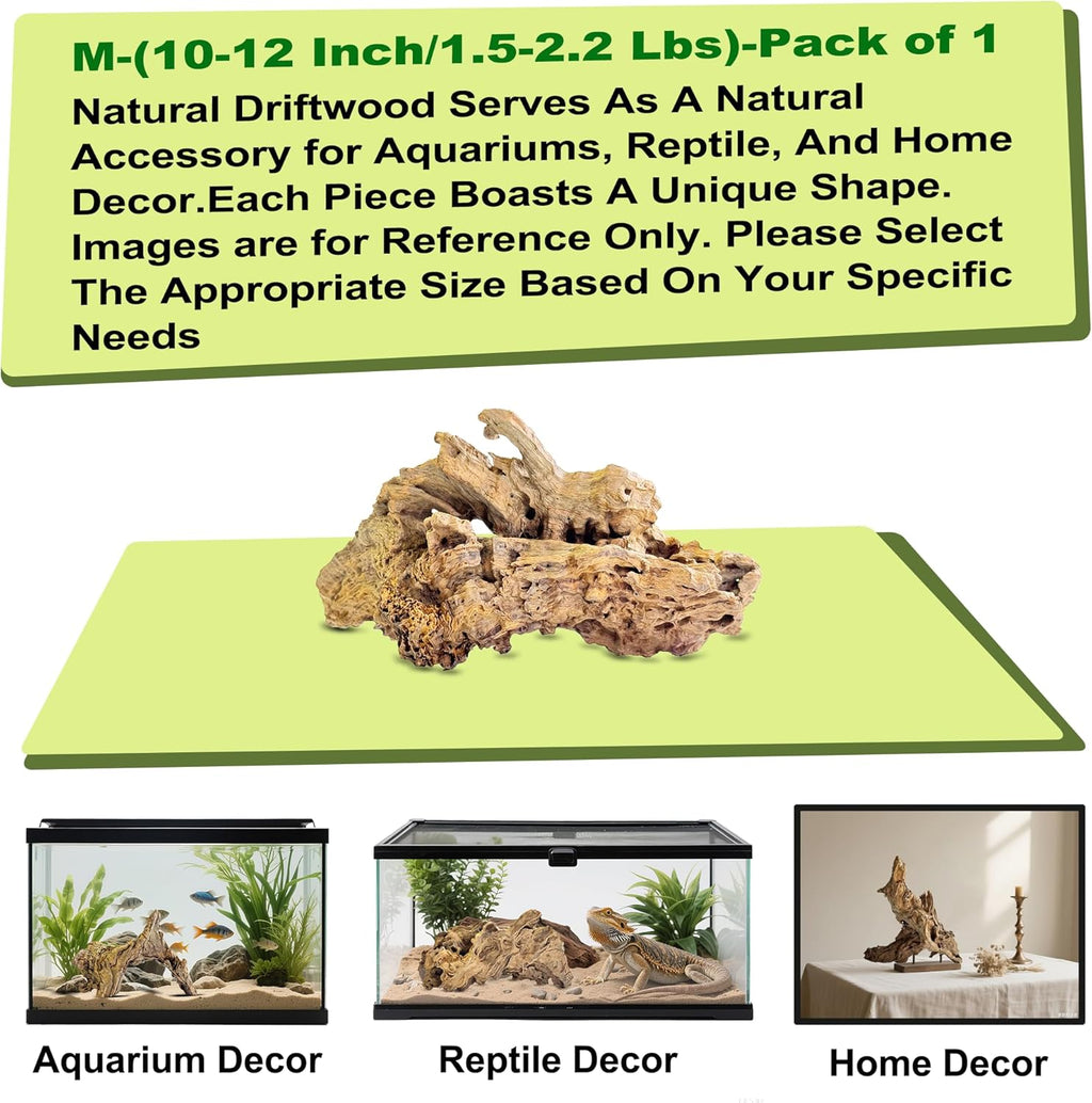Natural Driftwood for Aquarium Decor,Reptile Habitat&Home DIY Decor,Naturally Unique Shapes Weathered Wood,Easy to Use (M-(10-12 Inch/1.5-2.2 Lbs)-Pack of 1)