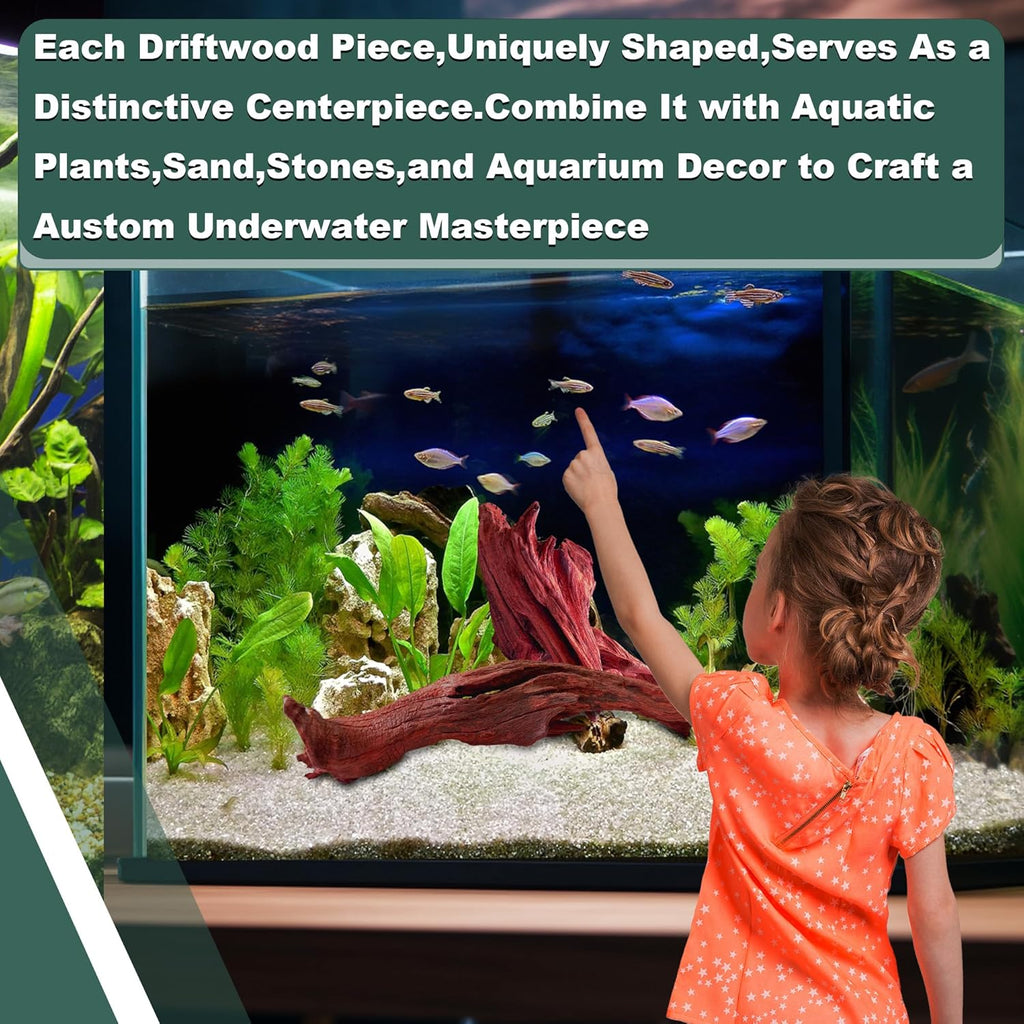 Natural Wood Driftwood for Aquarium Fish Tank Decor,Assorted Driftwood Trunk Branch for Reptile Tank Decor (MOP-ZYM Driftwood Branch (14 to19 Inch)-Pack of 1)