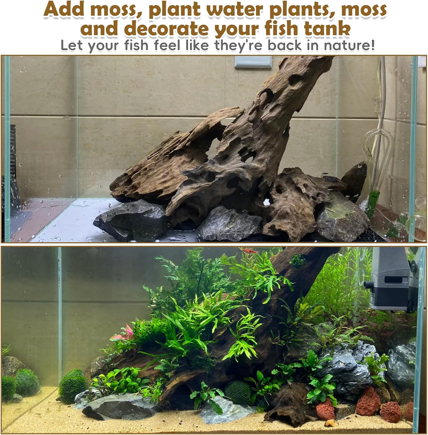 PINVNBY Natural Driftwood for Aquarium Large Reptile Terrarium Decor Decorations Assorted Branches Dearded Dragon Tank Accessories (7-11.5 inches/2 Pack)