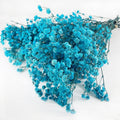 Preserved Baby's Breath, 100% Natrual Gypsophila Long Lasting Flowers for Vase Arrangements Home Decoration Photo Props Parties and Weddings, DIY Décor-Blue