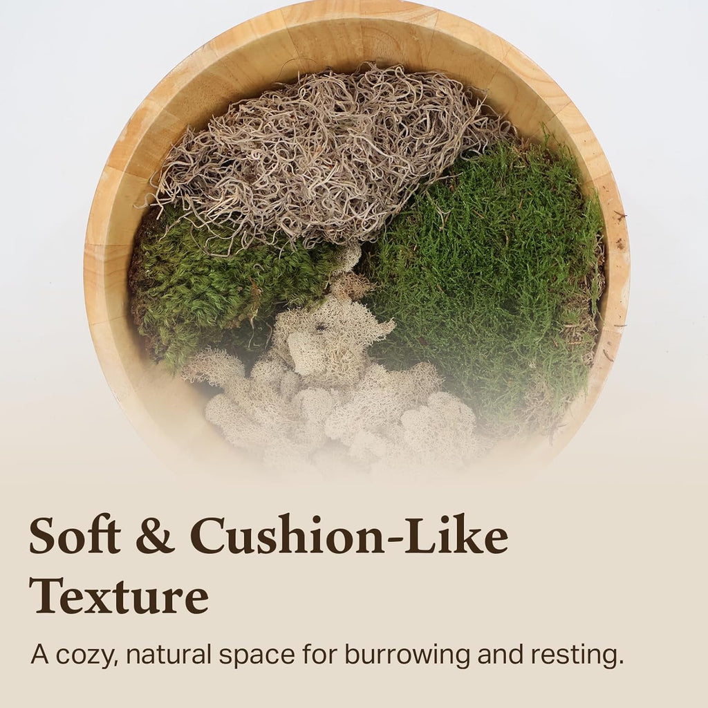 The Habitat Life - Natural Variety Pack - Mix of Reindeer, Mood, Sheet & Spanish Moss - for All Terrariums - Humidity Control - Breathable Bedding - Dye-Free & Safe - Medium - 2 Pack