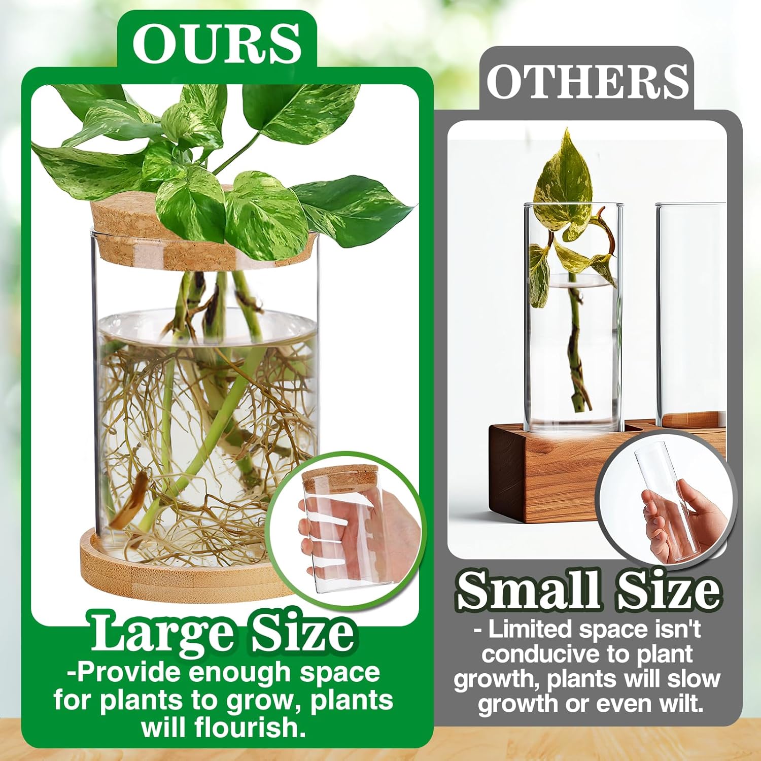 Biggun Plants Propagation Station - 2Pcs Desktop Plant Terrarium Glass Hydroponic Vases, Water Plant Jars, Gardening Gifts for Women Mom Plant Lovers (Thick Straight Shape, Separated Tray Style)